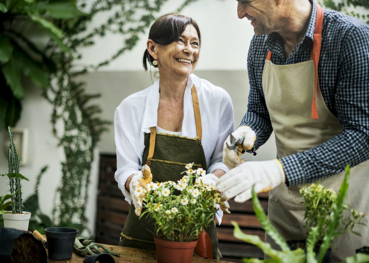 Couple planting flowers together in the garden