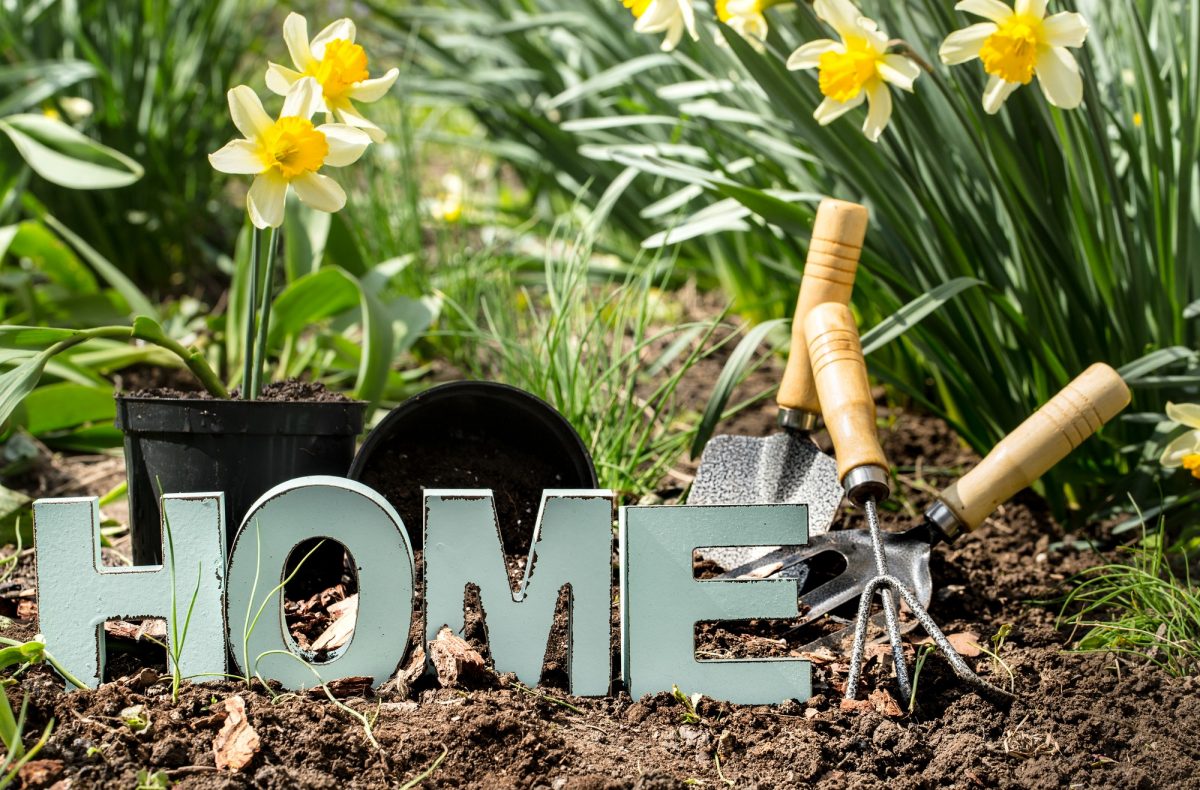 Gardening, beautiful spring flowers with garden supplies